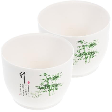 INOOMP 2pezzi Da in Plastica Riutilizzabile Contenitore Per Piante Acquatiche Vasi Per Decorativi Idroponico Per Piante in Casa Ciotola Per Piantare in