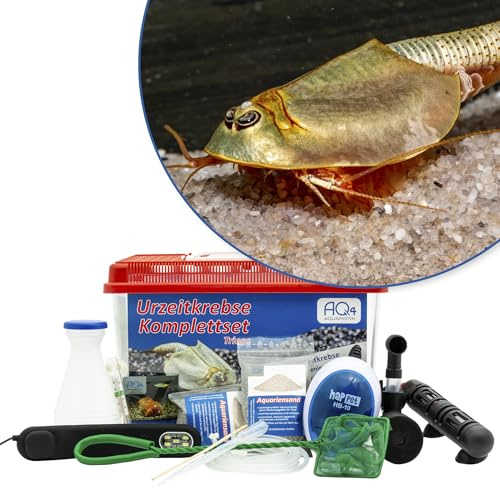 Triops longicaudatus Premium Komplettset 6 l Aquarium, LED, Filter, Eier | Enthält ca. 200 Urzeitkrebs-Eier, 6 l Aquarium, LED, Filter, Luftpumpe, Heizung, Futter, Zubehör, Anleitung, Triops züchten