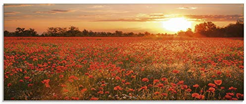 ARTland Wanddeko Glasbilder Wandbild Glas Bild einteilig 125x50 cm Querformat Natur Landschaft Blumen Mohnblumen Feld Sonnenuntergang Blumewiese S6AM