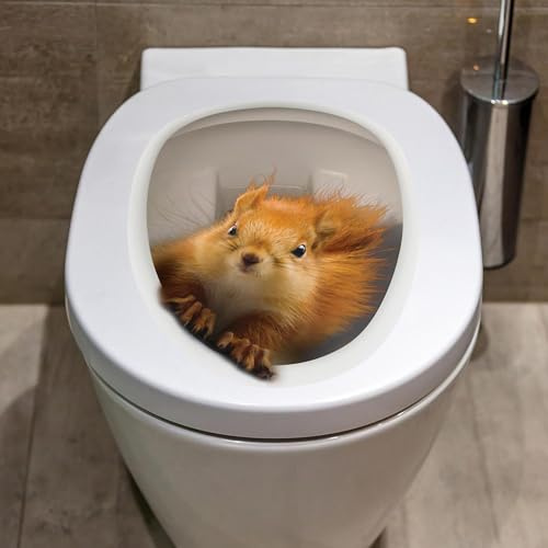 Jowxsx 3D Eichhörnchen Toilettensitz Aufkleber, Badezimmer WC Toilettendeckel