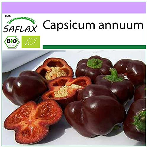 SAFLAX - BIO - Peperone - Sweet Chocolate - 10 semi - Capsicum annuum