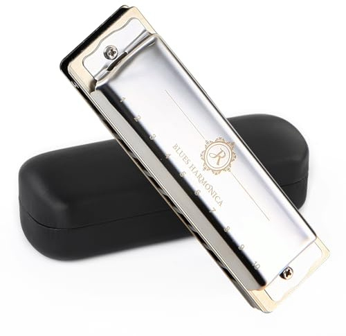 JDR Harmonica in C, 10 Holes Blues Harp Diatonic Mouth Organ Armonica with EVA Protective Case for Adults Beginner Professionals Intermediate Rock Jazz Gift Silver|North