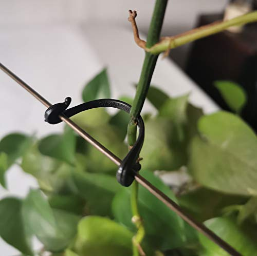 SUSUB 200 Stück Kiwi-Weinreben-Klammern mit Stiel für Weinreben, Garten, Pflanzen, Stützklammern, Halterung für Obst, Schnallen, Haken, Feste Gabel, Ranken, Ranken, Ranken, Ranken, Bindfäden