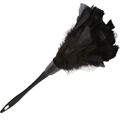 Plumeau Plumeau Plumeau Anti-Statique Poussière De Voiture Tableau De Bord Nettoyant Outils Portable Poignée Plume Nettoyant Outils Poignée Dusters