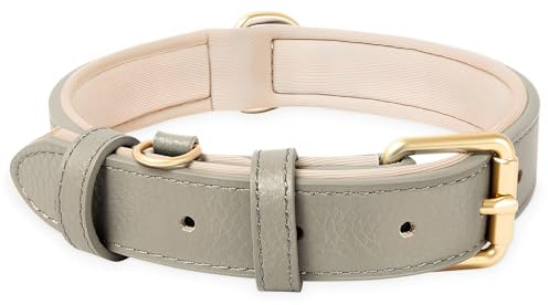 HEELE Hundehalsband Leder Hundehalsband mit gepolstert und echtes Leder, Verstellbar, Halsband für Welpen Kleine Mittel Große Hunde, Neu-Grau, XS | Hunde Halsband Echtes Leder, Halsband für Welpen Kleine Mittel Große Hunde