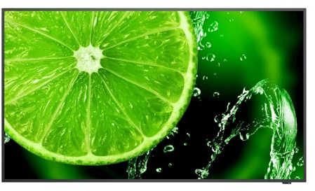 NEC MULTISYNC E438 LFD