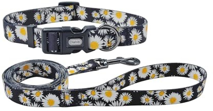 Olahibi Hundehalsband und Leine mit Gänseblümchenmuster, strapazierfähiges Polyester-Halsband und passende 150 cm lange Leine für kleine Hunde (Größe S, Gänseblümchen)