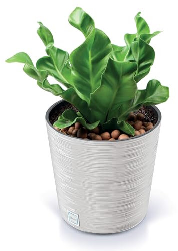 EDANTI Pot de fleurs, rond, grand/petit, pour l'intérieur et l'extérieur, pour fleurs, jardin, balcon, terrasse, maison, blanc, 30 cm