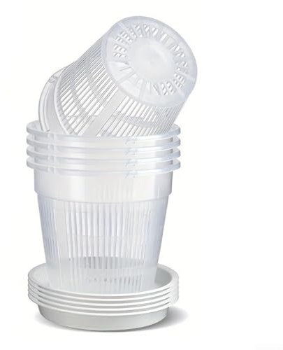 Set di 6 vasi trasparenti per orchidee con piattino, per semplificare la cura del giardino (16 cm)
