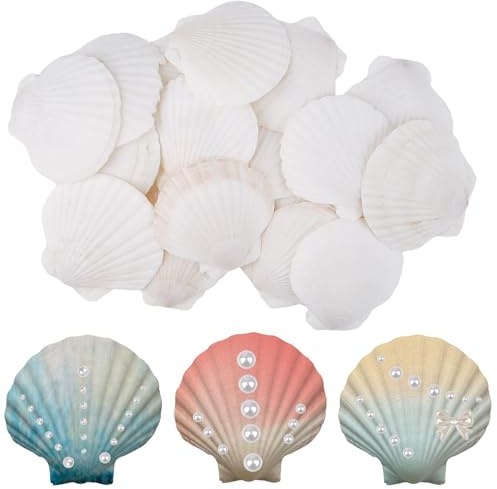 Vaktop 20 Stück Jakobsmuschel, Natürliche Muscheln Groß | Muschelschalen Fächermuschel, Muscheln Deko für DIY Handwerk, Küchendekoration, Snackdekoration, Aquariumdekoration (7-8cm)