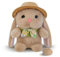 dellyy Doux Lapin en Peluche, Peluche Lapin, Pâques Peluche Jouets Lapin,Câliner et Jouer, Lapin Doudou en Peluche, Jouet en Peluche Lapin pour Anniversaires, Pâques, Noël, Baby Showers (Brun)
