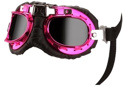 Rdxanc Hundebrille, Augenschutz, Sonnenbrille, winddicht, Persönlichkeit, Welpen, Brille für kleine und mittelgroße Hunde, silberfarben