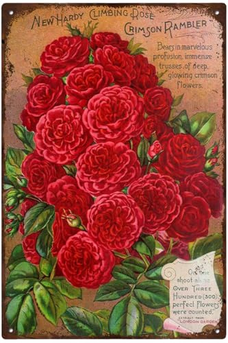 12x16 Inch Vintage Crimson Rambler Climbing Rose Metal Tin Sign, Floral Horticulture Wall Art Decor for Kitchen Garden Home