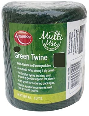 Ambassador - Ficelle (100 m) (Vert)