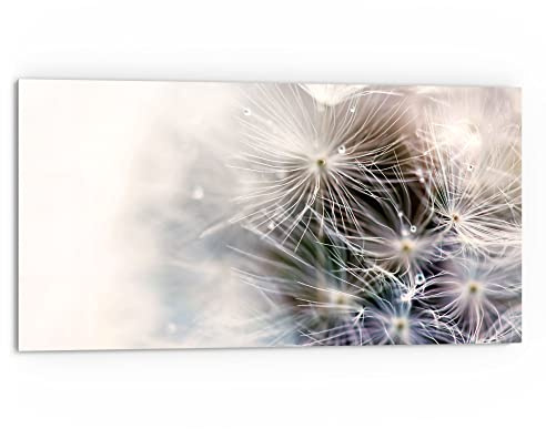 DEQORI Küchenrückwand Glas | Motiv Detailaufnahme Pusteblume | 80x40 cm | Bad- oder Herd-Rückwand | Herdblende Spritzschutz für Küche & Badezimmer | moderne Deko für Fliesenspiegel