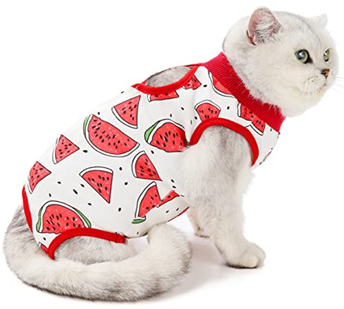AgoumLux Profesional Gato Recuperación Traje Chaleco Después de la Cirugía Operación Postoperatorio Body Algodón