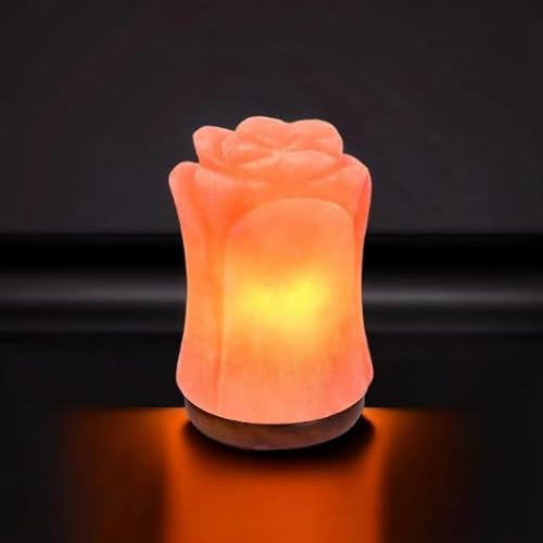 Saltbay Lampe de sel Himalaya Fleur Taille L avec variateur de lumière