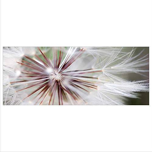 decorwelt Glasbild 125x50 XL Pusteblume Grau Panorama Wandbild Glasbilder Modern Deko Glas