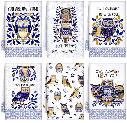 Bencailor 6 Pack Decorative Kitchen Towels Sets Hand Dish Towels Farmhouse Funny Southwest Aztec Rose Design Bathroom Tea Cloth for Home Supplies 16 x 24(Blue White,Owl)