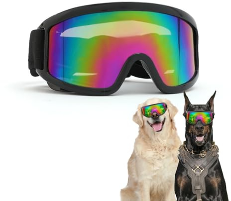 Hundebrille für mittelgroße und große Rassen, mit verstellbaren Trägern und weichem Schwammpolster, UV-Schutz, winddicht, staubdicht und schneefest.