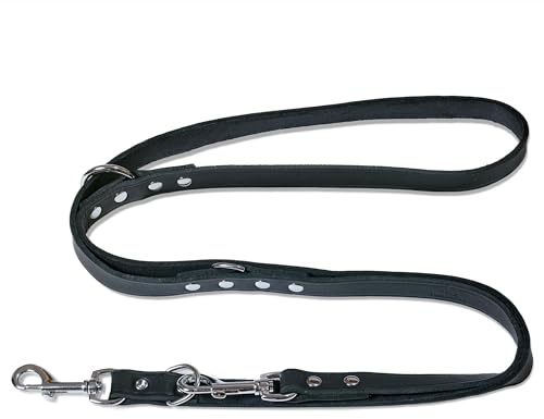 FREUDENTIER Hundeleine Leder 2m - Lederleine verstellbar - Führleine aus Fettleder für kleine, mittelgroße & große Hunde - Alsterufer Kollektion (Midnight, 20mm breit)