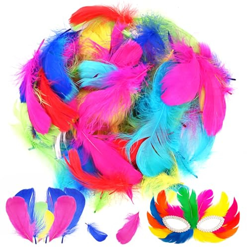 Faburo Federn zum Basteln, 300 Stück Bunte Federn Set, 8~12cm Feather für Dekoration Hochzeiten Partys Weihnachten Ostern Karneval, Bunte Federn zum Basteln Geeignet für DIY Traumfänger Ohrring