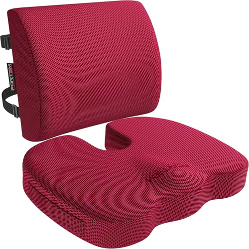 FORTEM Pack Cojín Silla Oficina y Almohada Lumbar - Cojín para Silla Ordenador en Forma De U y Almohada Lumbar con Espuma Viscoelástica para Asiento Coche, Gaming, Trabajo - Fundas Lavables