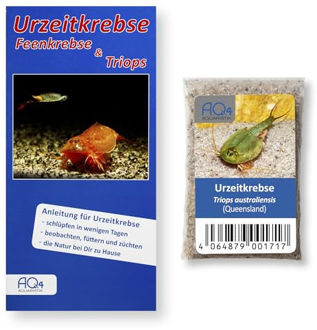 Triops australiensis (Queensland), Triops Zuchtansatz, Urzeitkrebs-Eier | Urzeitkrebs-Eier, ca. 100 Stück, mit Anleitung, aus Australien, für Schlupf, Aufzucht und Beobachtung von Urzeitkrebsen