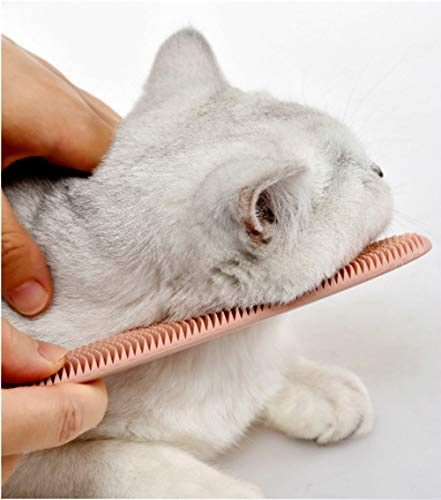 Ulalaza Peigne pour Chat barbelé Brosse simulée pour Langue de Chat idéale pour Le Massage et Les Peaux sensibles