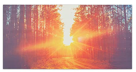 Klarstein Infrared Heater, 720W Infrared Panel Heater, Bathroom Electric Heater w/Thermostat, Remote, & Timer, Electric Heater Wall Mounted, CO2-Free Wall Mounted for Home Low Energy