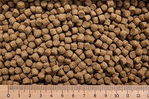 (Grundpreis 3,90 Euro/kg) - 5 kg Karpfenfutter PP 6,0 mm 30/5 schwimmend Cypriniden - Karpfenpellets