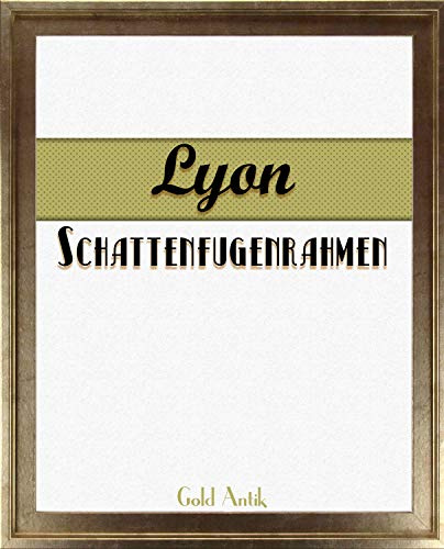 Homedeco-24 Lyon Schattenfugenrahmen 50x80 cm in Gold Antik ohne Verglasung ideal für Canvas Leinwand Bilder Farbwahl