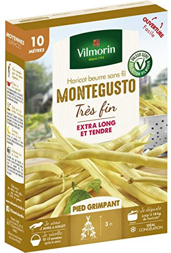 Graines de Haricot beurre sans fil MONTEGUSTO très fin - 10 mètres