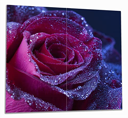 Wallario Herdabdeckplatte/Spritzschutz aus Glas, 2-teilig, 60x52cm, für Ceran- und Induktionsherde, Rote Rosenblüte im Regen