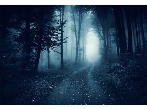 YongFoto 4,5x3m Fond pour Photographie d'halloween dans forêt Sombre Forêt brumeuse Chemin Nuit Sombre Arrière-Plan Photo pour Extérieur Horreur Paysage Naturel Décorations Studio pour séance
