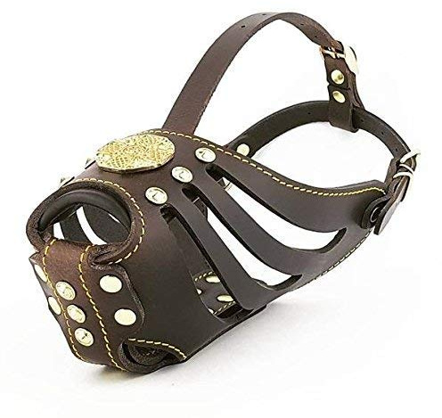 Bestia Maximus Leder Maulkorb. Einzigartiges Desing und Qualität | Größe L- kleiner Pitbull / Schäferhund Hündin / Labrador, für große und mittelgroße Hunde