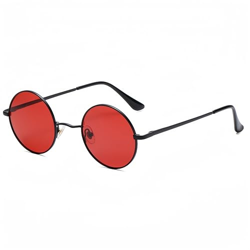 WDZAYXC Retro Classic Runde polarisierte Sonnenbrille mit Metallrahmen für Herren und Damen
