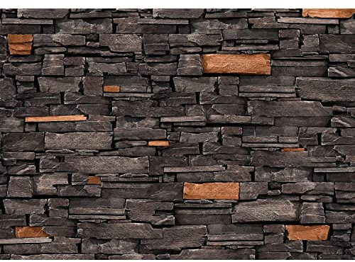 Runa Art Fototapete Steinwand 3D Effekt Modern Vlies Wohnzimmer Schlafzimmer - Made in Germany - 308 x 220 cm Schwarz Braun 9107010a