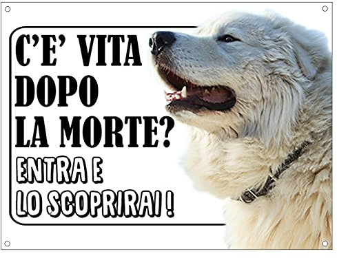 CARTELLO ATTENTI AL CANE - MAREMMANO c'è vita dopo la morte, entra e lo scoprirai - Con Adesivo in Vinile e Pannello in Forex (Pannello 5mm Stampato)