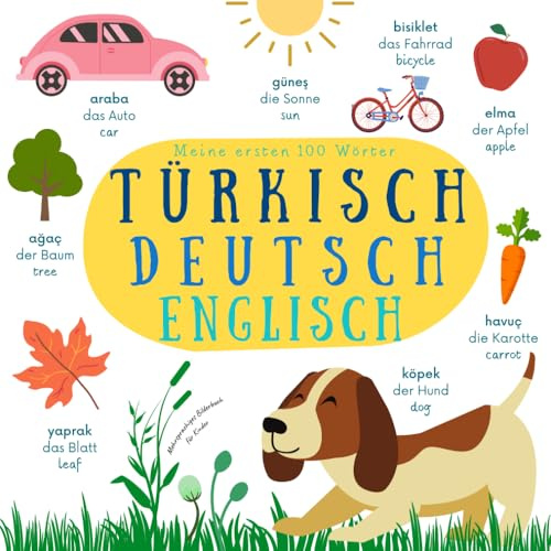 Meine Ersten 100 Wörter | Mehrsprachiges Bilderbuch für Kinder Türkisch Deutsch Englisch: Türkisch Lernen für Anfänger Buch | Türkische Bücher | ... ve İngilizce Çocuklar İçin Kitaplar
