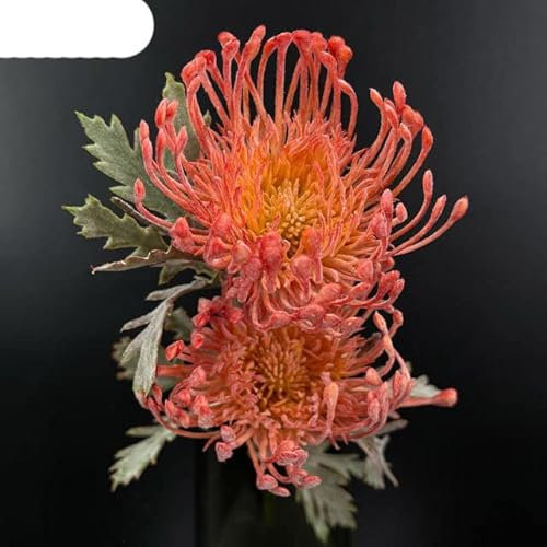 Nadelkissen Kunststoff Künstliche Blume Kurzer Zweig Wohnzimmer Dekoration Hochzeit