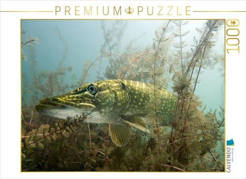 CALVENDO Puzzle Meister der Tarnung | Lege-Größe cm Foto-Puzzle für glückliche Stunden