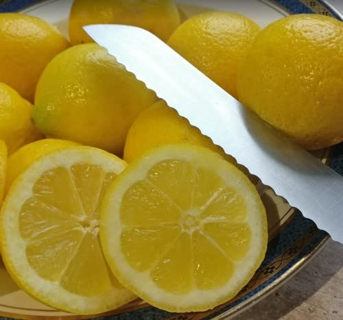 Plant World Seeds - Lemon Fruit (Citrus Limon) Seeds (Tropical Fruit Seeds)