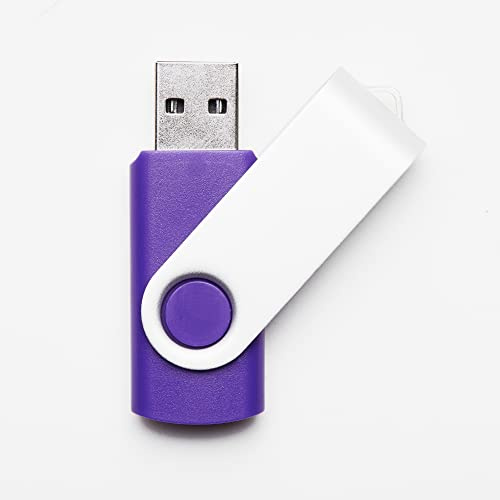 100 Pack Purple 4GB USB Flash Drives USB 2.0 Swivel Design Flash Drive for Data Storage Wholesale Bulk (Purple, 4GB)