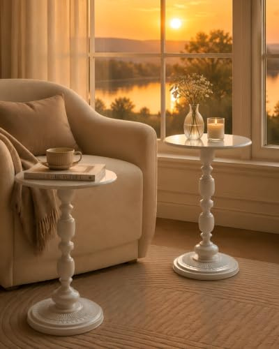 Ginhow Set da 2 Tavolini Piccolo da Salotto, Tavolino da Balcone, Vintage Tavolino Piccolo in Metallo, Creativo Coffee Table (Bianco, 40 x 45 cm)