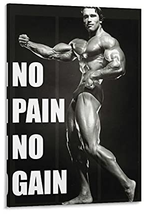 KFMD Vintage-Bodybuilding-Poster, Arnold Schwarzenegger, 'No Pain No Gain', 20 x 30 cm
