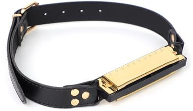 Yasexx Harmonica Adjustable Gag Mouth Extreme Sm Fetisch Ballgag For Bondage Mouth Knebel Slaves Mundknebel Knebel Sm Sexspielzeug FüR Paare Extrem Sex（Gold）