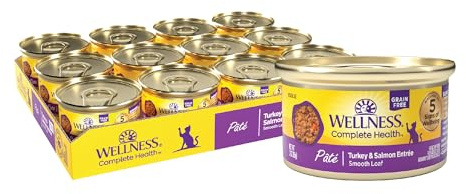 Wellness Complete Health Pate Adult Canned Wet Cat Food, Natural, Protein Rich, Grain Free, Turkey and Salmon Dinner Recipe, 3 oz, Pack of 24 Cans