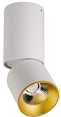 GHBSDNEPP Faretto Da Incasso Angolo 24 ° Regolabile Spotlight Spotlight Alluminio Semifulto Pannello a Soffitto Luce Antirifonda Della Griglia Commerciale Integrata Downlight for Showro/White-3000k
