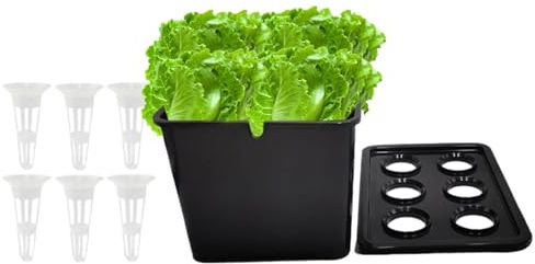 Vmiorzq Idroponico, di Germinazione a 6 Fori, Scatola di Coltivazione da Giardino, Per Verdure Fiori Interno Esterno Giardino Serra Fattoria Cortile Davanzale Balcone
